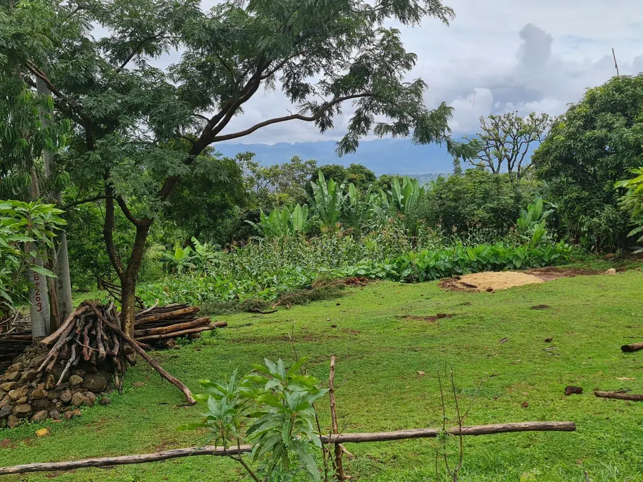 Agricultural field and rural livelihoods context