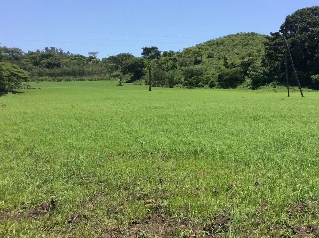 Research fieldwork and rural development engagement