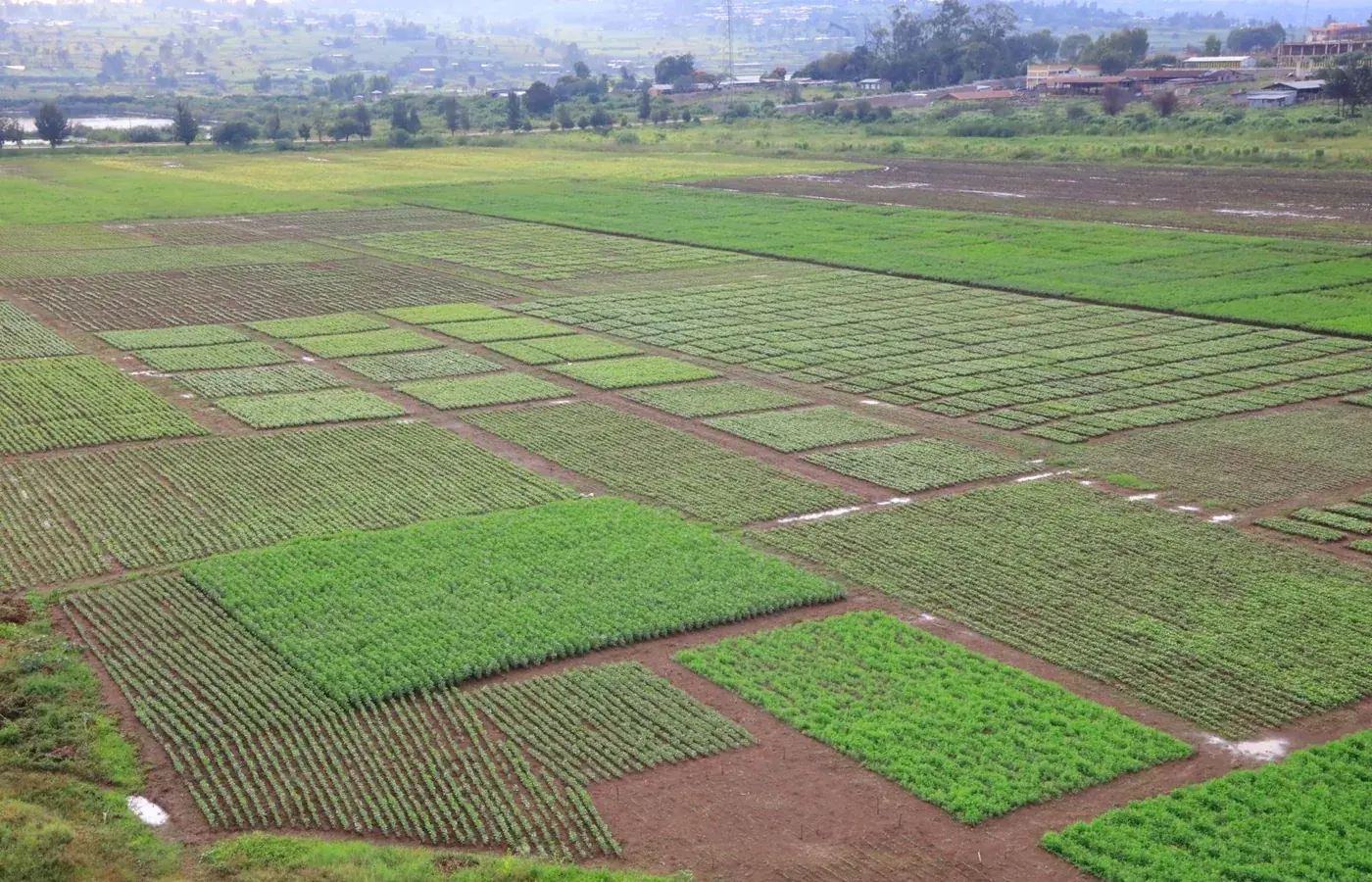 Agricultural production landscape